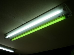 緑色の蛍光灯