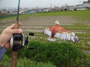 凧揚げ