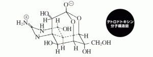 フグ毒の化学構造式