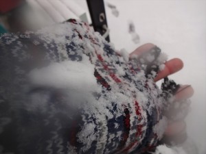 マフラーに雪