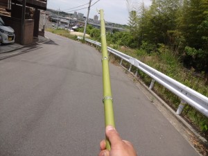 切り出した竹