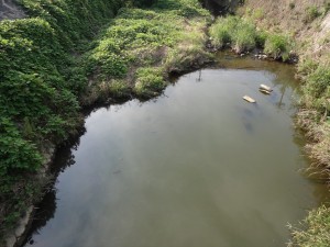 近所のドブ川