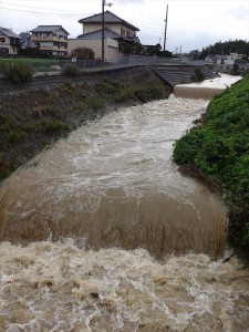 甲斐田川の氾濫