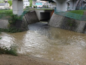 水位が下がった