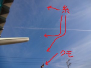 クモが空を飛ぶ