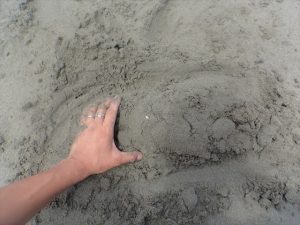 砂浜でアート