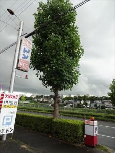 喫茶ドン周辺の空と看板