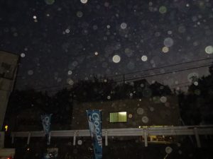 雪の様に舞う籾