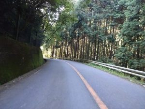 金剛山　林道を走る