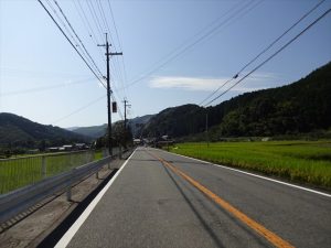 のどかな田園風景