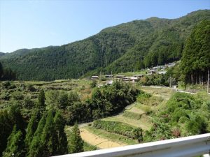 棚田が見れる田園風景