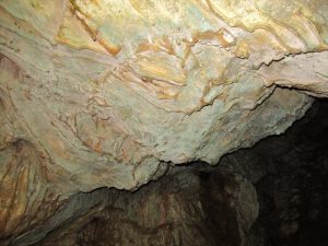 鍾乳洞の天井