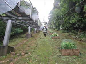 急斜面を登って行く