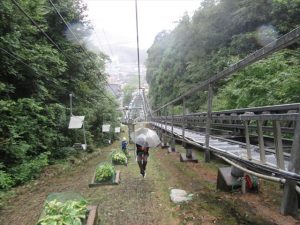 急斜面を登って行く