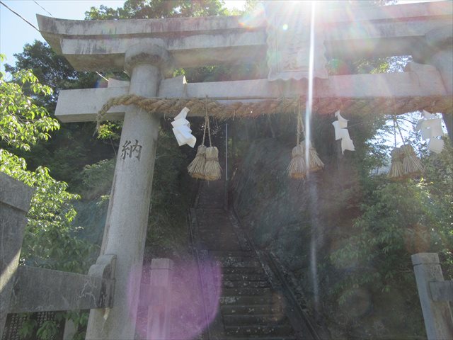 神社にお参り